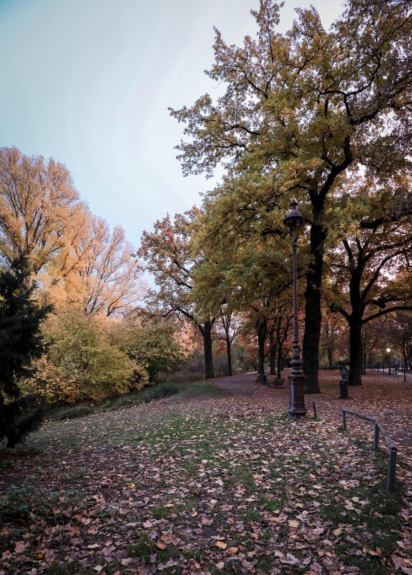 Kpm Hotel & Residences 柏林 外观 照片 Autumn in Central Park